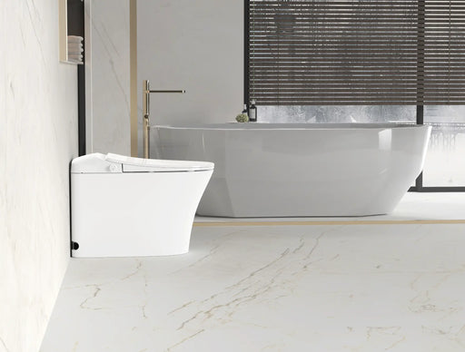 Lesbos Back to Wall Smart Toilet - FIL Kitchen Bathroom