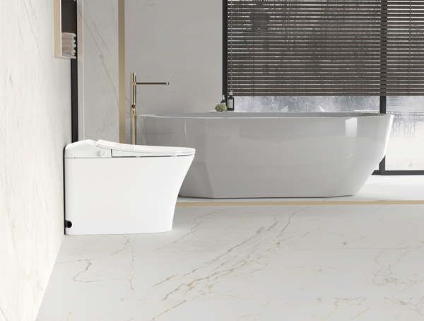 Lesbos Back to Wall Smart Toilet