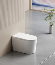 Byron Smart Toilet One-Piece Ceramic Instant Heating Tornado Flush 705*390*460mm POSEIDON