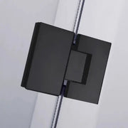 DIAMOND FRAMELESS HINGE DOOR WALL TO WALL  MATTE BLACK FIL Kitchen Bathroom
