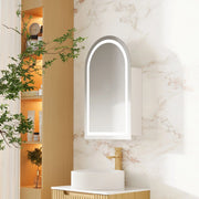 Athena 500 x 900mm LED Arch Wall-Hung Shaving Cabinet - Single Door mercioaustralia