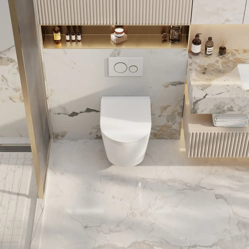 Zara66 Wall-Hung Pan