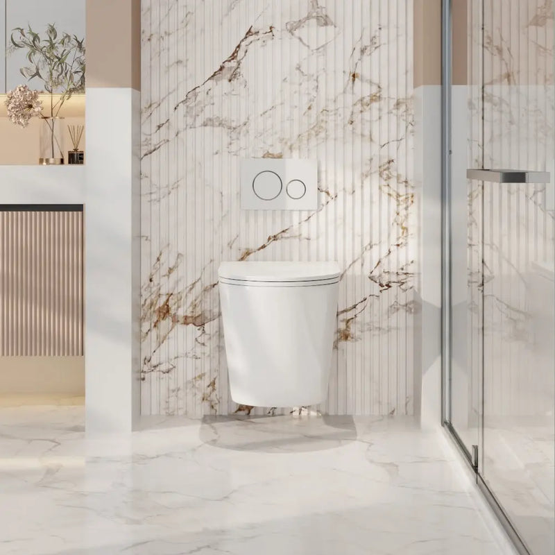 Zara66 Wall-Hung Pan