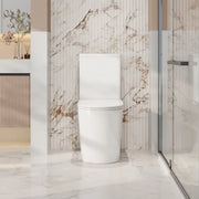 Berlin Back-to-Wall Toilet Suite mercioaustralia