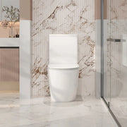 Cera Back-to-Wall Toilet Suite - FIL Kitchen Bathroom