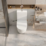 Cera Back-to-Wall Toilet Suite - FIL Kitchen Bathroom