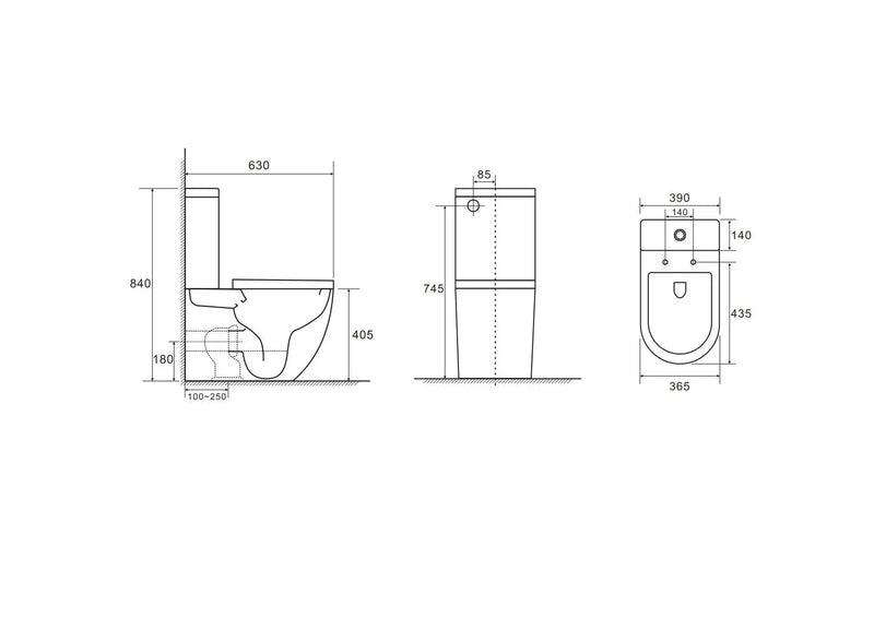 DIANA Back-to-Wall Toilet Suite mercioaustralia