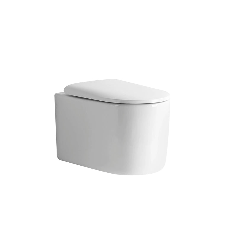 Devito Tornado Rimless flush Wall-Hung Pan LK-DV305WHP