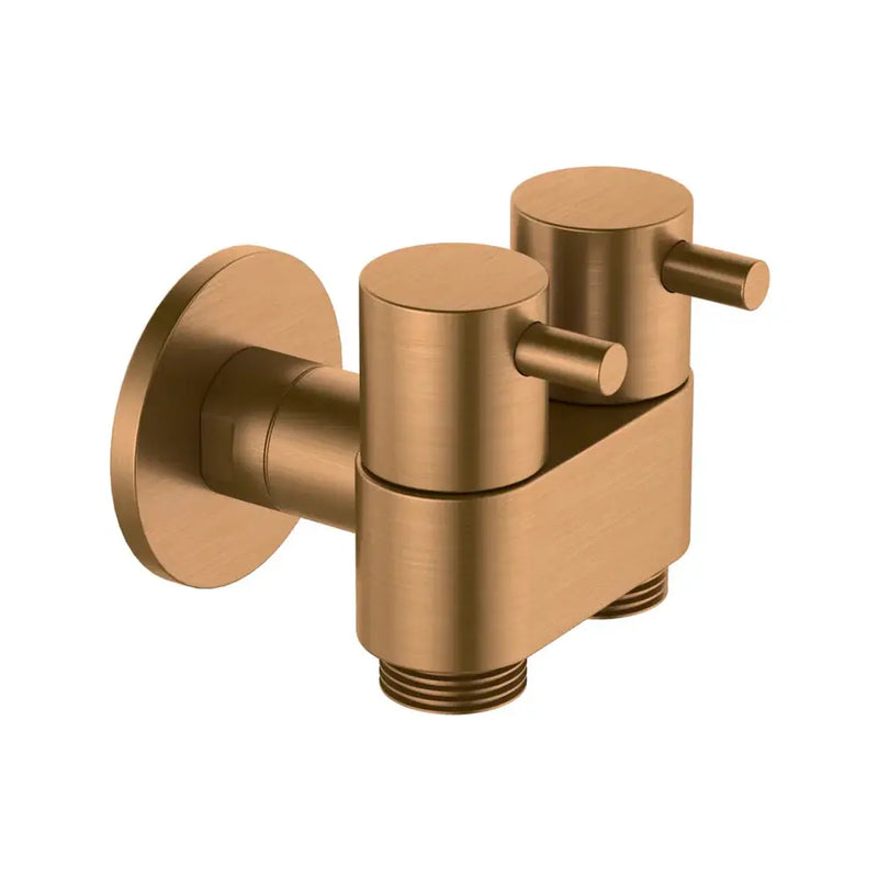 Amoza DN15 Dual Cistern Tap Amoza