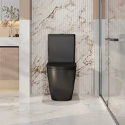 Norton Back-to-Wall Toilet Suite mercioaustralia