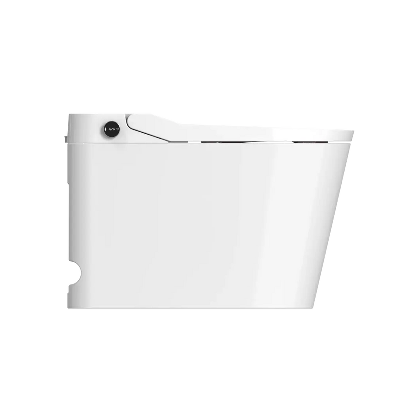 Kyoto Intelligent Toilet