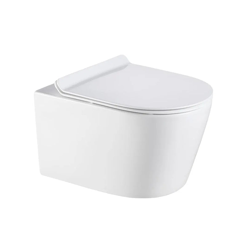 Agena Rimless Wall Hung Toilet Pan LK-AG104WHP