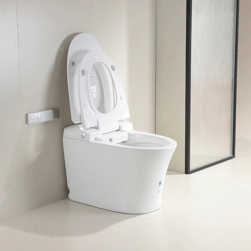 Lesbos Back to Wall Smart Toilet - FIL Kitchen Bathroom