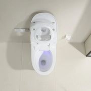 Lesbos Back to Wall Smart Toilet - FIL Kitchen Bathroom