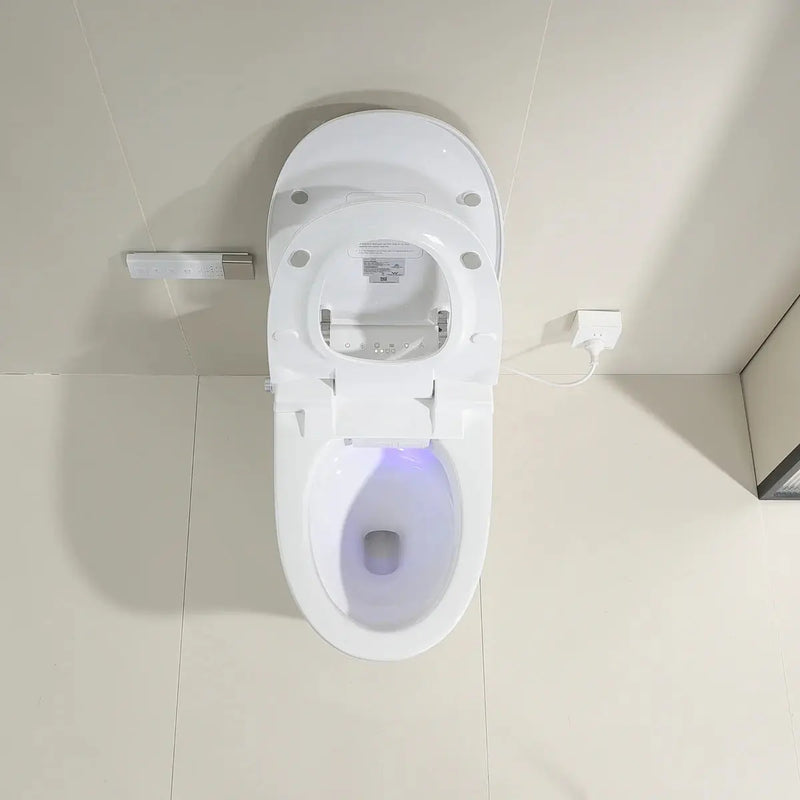 Lesbos Back to Wall Smart Toilet - FIL Kitchen Bathroom