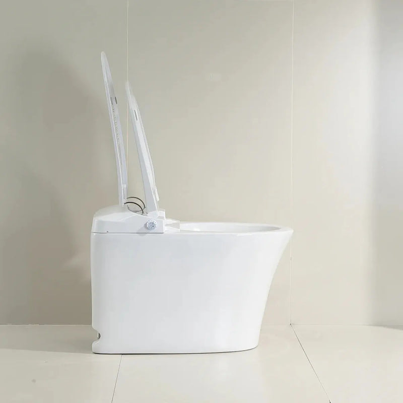 Lesbos Back to Wall Smart Toilet - FIL Kitchen Bathroom