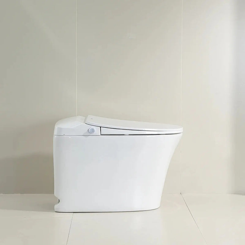 Lesbos Back to Wall Smart Toilet - FIL Kitchen Bathroom