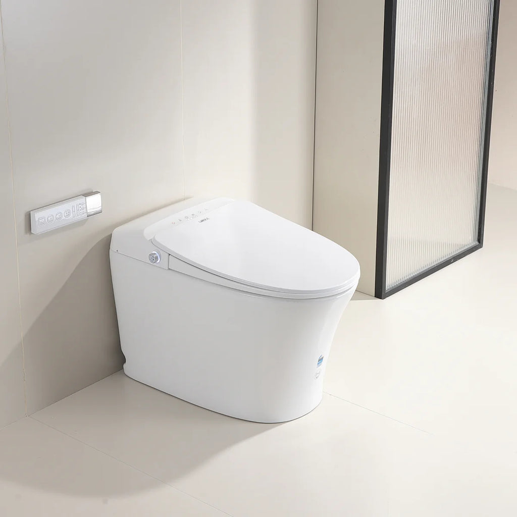 Lesbos Back to Wall Smart Toilet