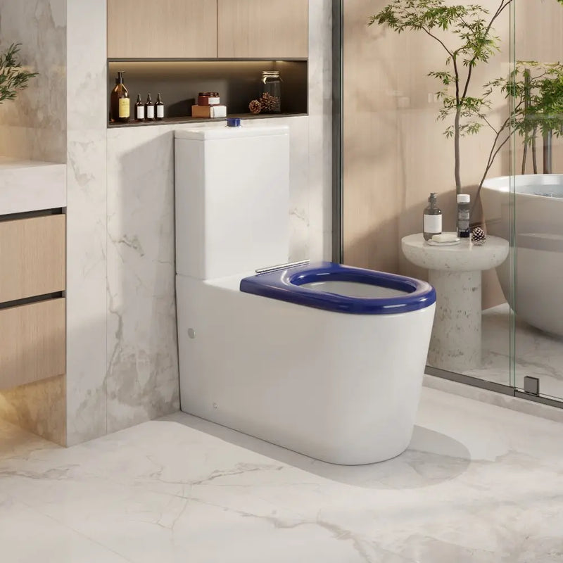 Pani Care-Accessible Back-to-Wall Toilet - FIL Kitchen Bathroom