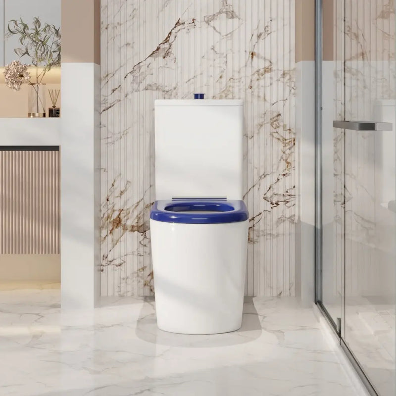 Pani Care-Accessible Back-to-Wall Toilet - FIL Kitchen Bathroom