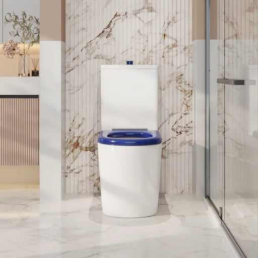 Pani Care-Accessible Back-to-Wall Toilet mercioaustralia