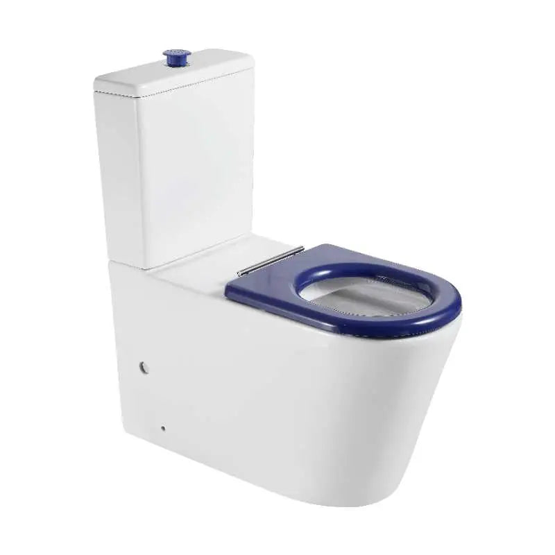 Pani Care-Accessible Back-to-Wall Toilet - FIL Kitchen Bathroom