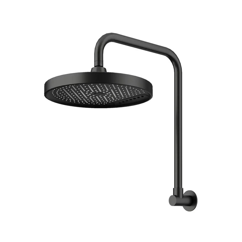 Amoza Gooseneck Shower Arm & Head - 2 Pack Amoza
