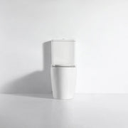 Walton Back-to-Wall Toilet Suite - FIL Kitchen Bathroom