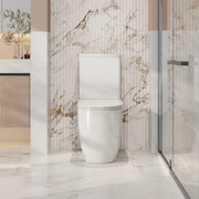 Walton Back-to-Wall Toilet Suite - FIL Kitchen Bathroom