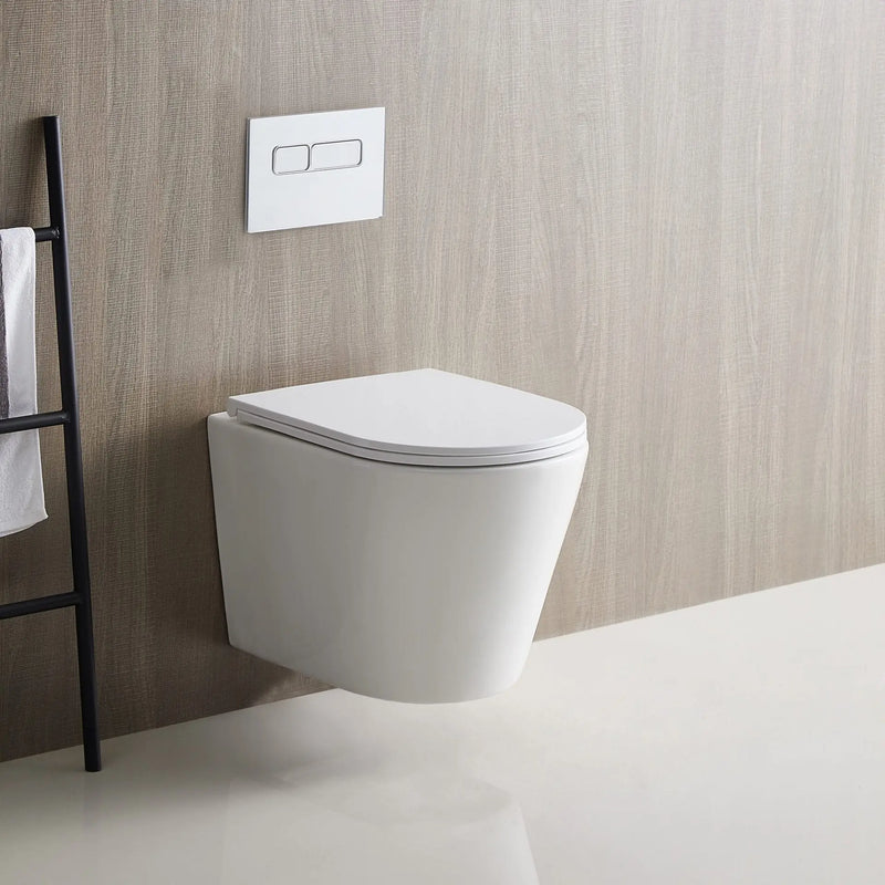 Zara66 Wall-Hung Pan