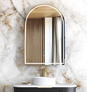 LED Archie Black Oak Shaving Cabinet  900(H)x600(W)mm - FIL Kitchen Bathroom