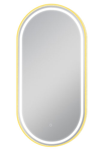 Matte Black/Brushed Gold Oval Framed LED Mirror 500x1000mm