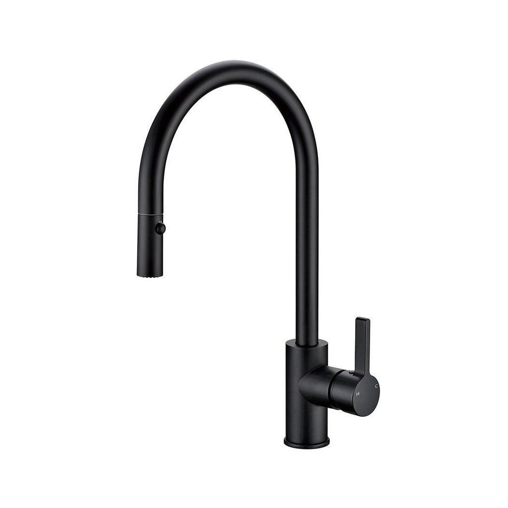 Otus Pull Out Sink Mixer
