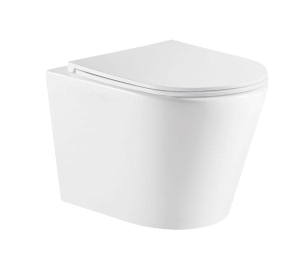 Rimless Wall Hung Pan