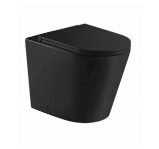 Matte Black Rimless Wall Faced Floor Pan