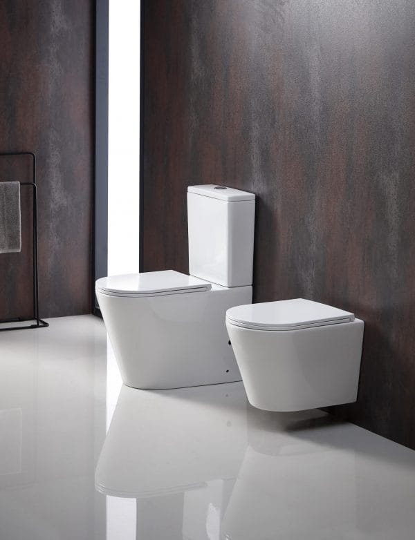 Rimless Wall Hung Pan